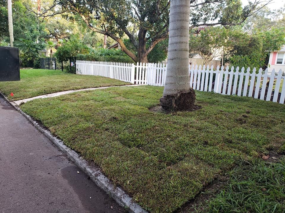 Landscape Design for Golden Landscape & Tree Care in St. Petersburg, Fl