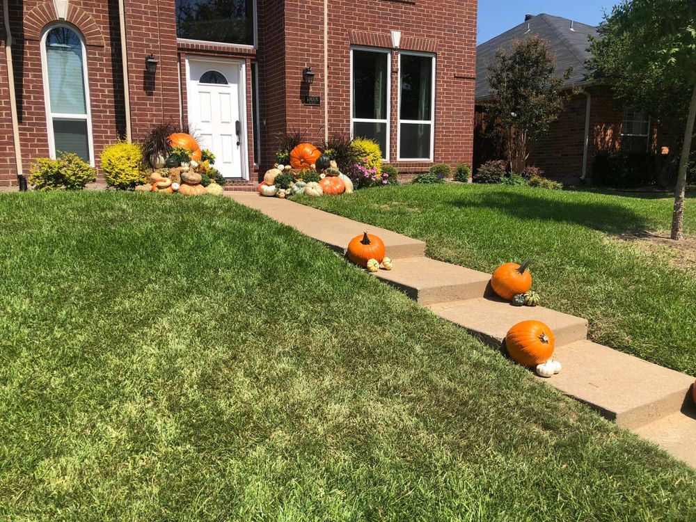 Pumpkin Displays for Rj’s Enchanted Gardens and Fencing LLC in Irving, TX