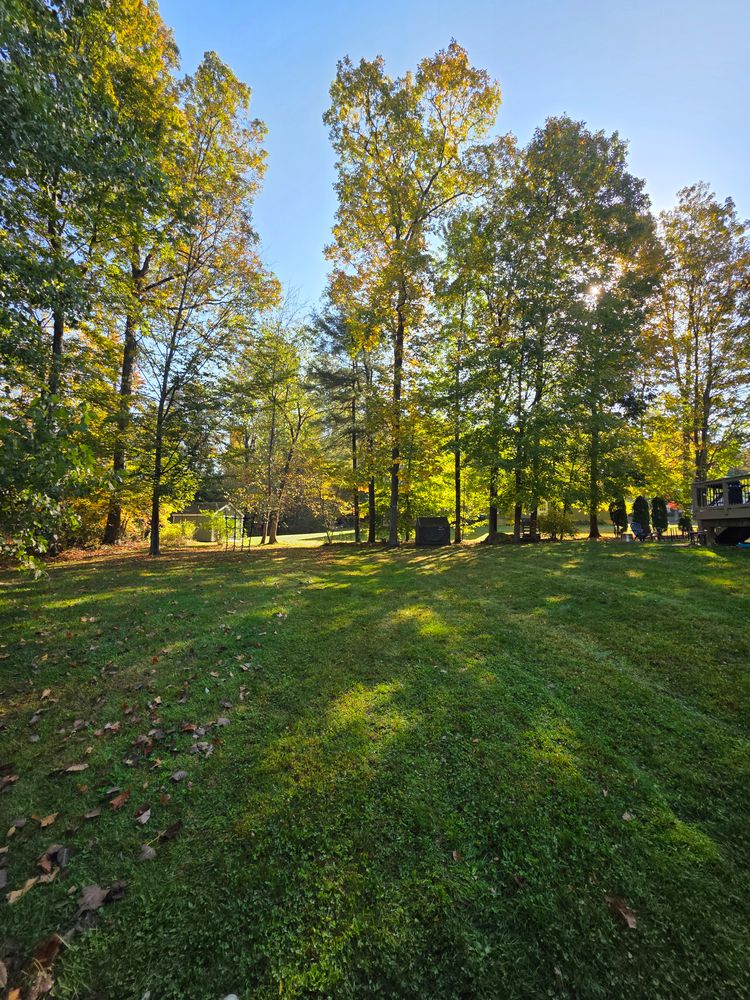 All Photos for Sweet Scapes in Ballston Spa, NY