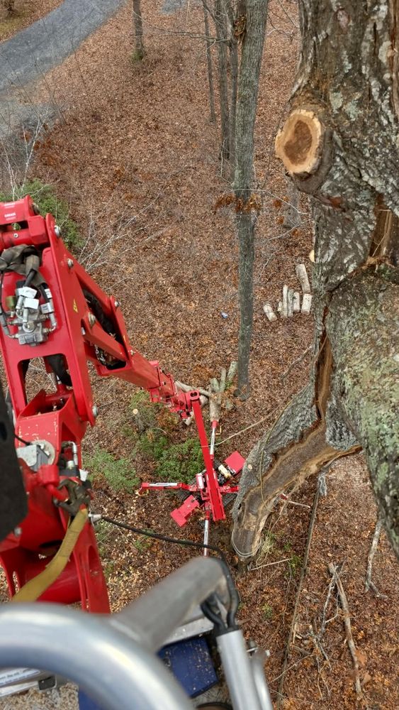 All Photos for Smith Tree Experts in Palmyra, VA