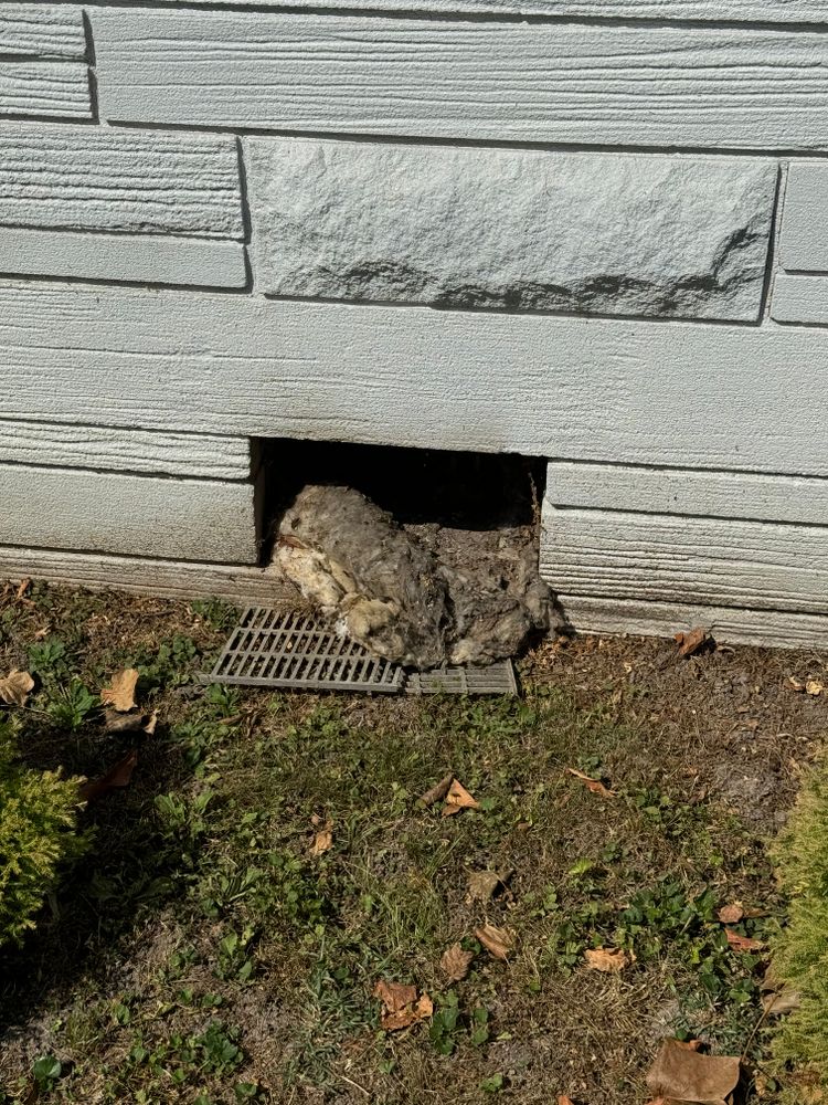 Crawlspace/Attic Renovation  for All-In Pest Control & Home Solutions in Greene County, IN