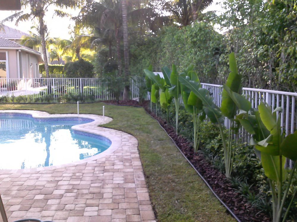 Landscaping for Tezna Landscaping, Trees & Pavers in Valrico, FL