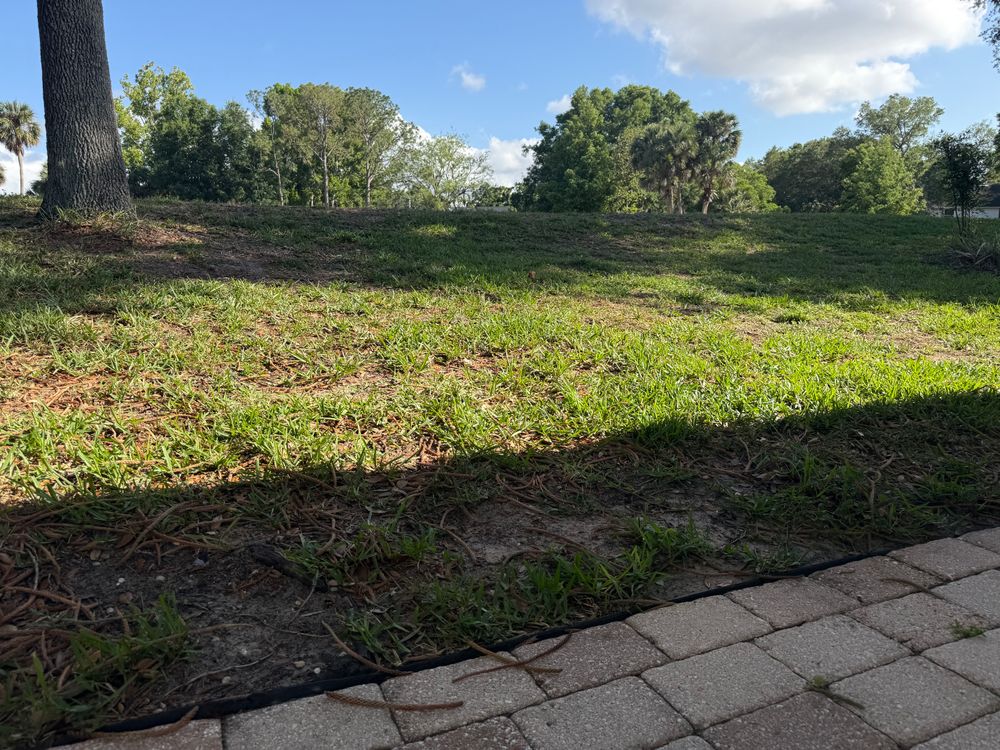 All Photos for Amerigrown Tree And Lawn in Apopka, FL