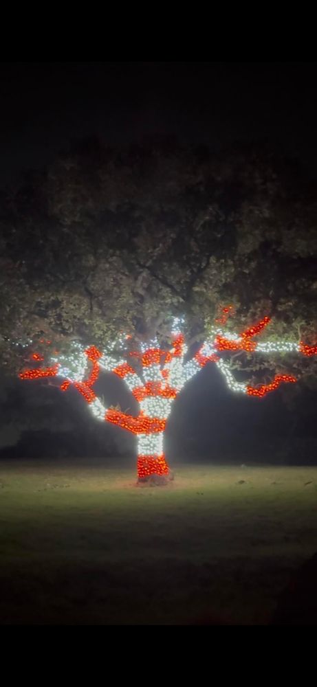 All Photos for Mora’s Lawn Services in Crowley,  TX