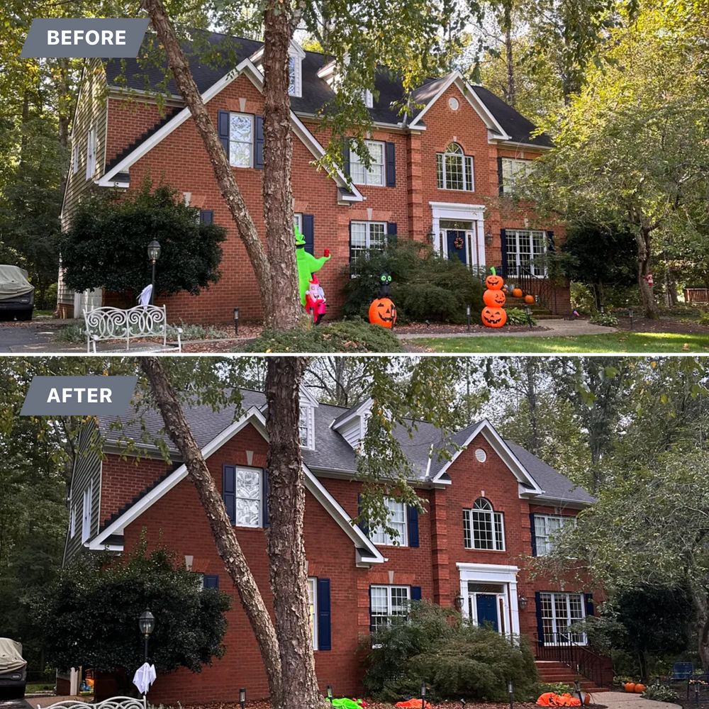 All Photos for LeafTide Solutions in Richmond, VA