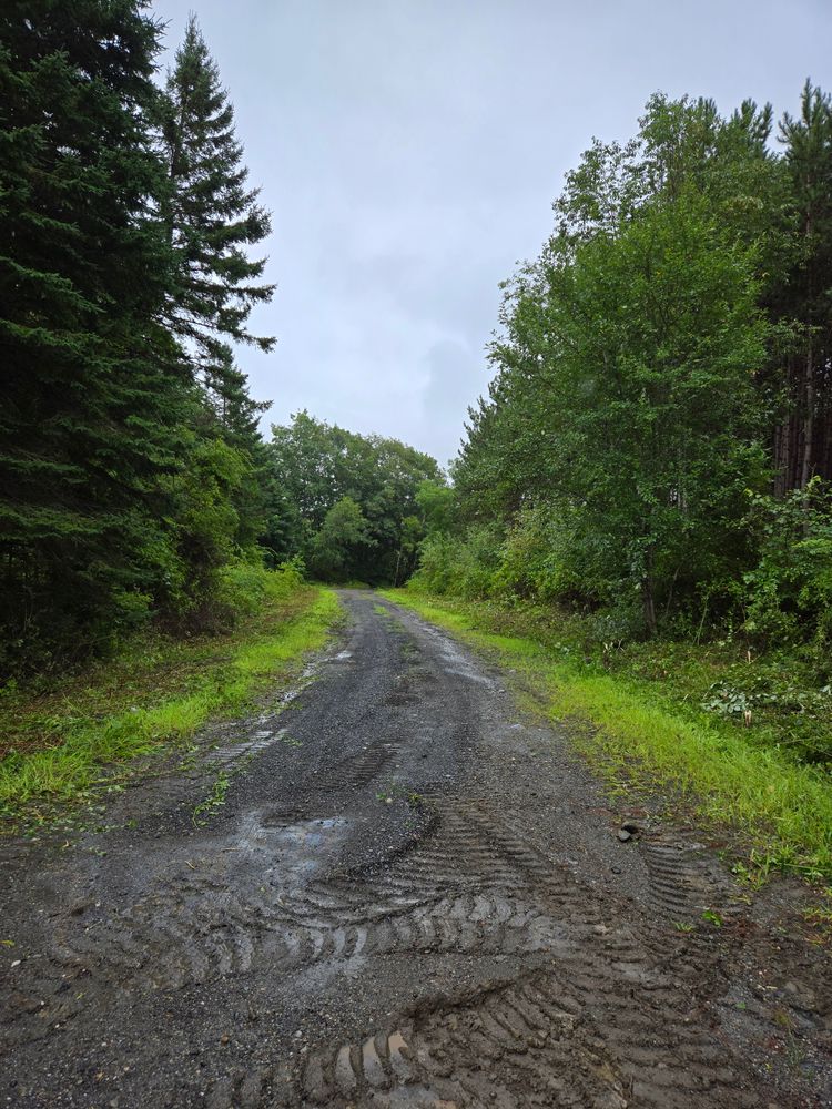 All Photos for Casey's Lawn Service LLC in Orono, ME