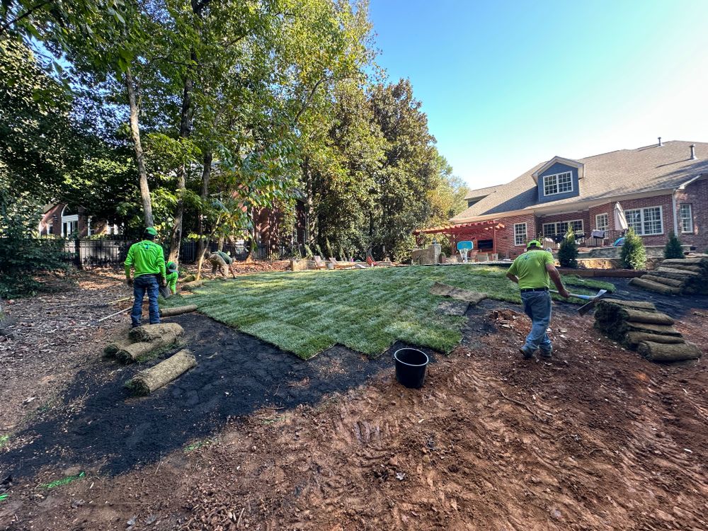 All Photos for Pecina Pine Needles in Monroe, NC