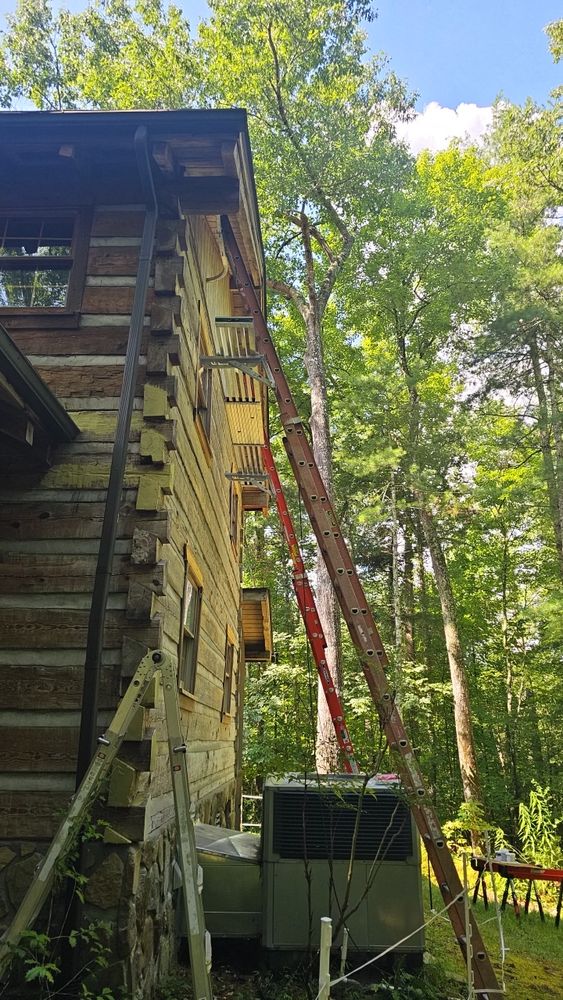 All Photos for M.A.N Property Solutions in Knoxville, TN