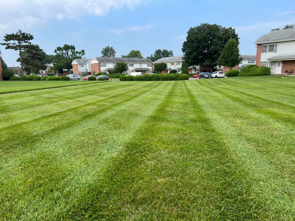 All Photos for Mark’s Mowing & Landscaping LLC  in Ashville, OH