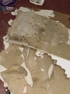 All Photos for N&D Restoration Services When Disaster Strikes, We Come In in Cape Coral,  FL