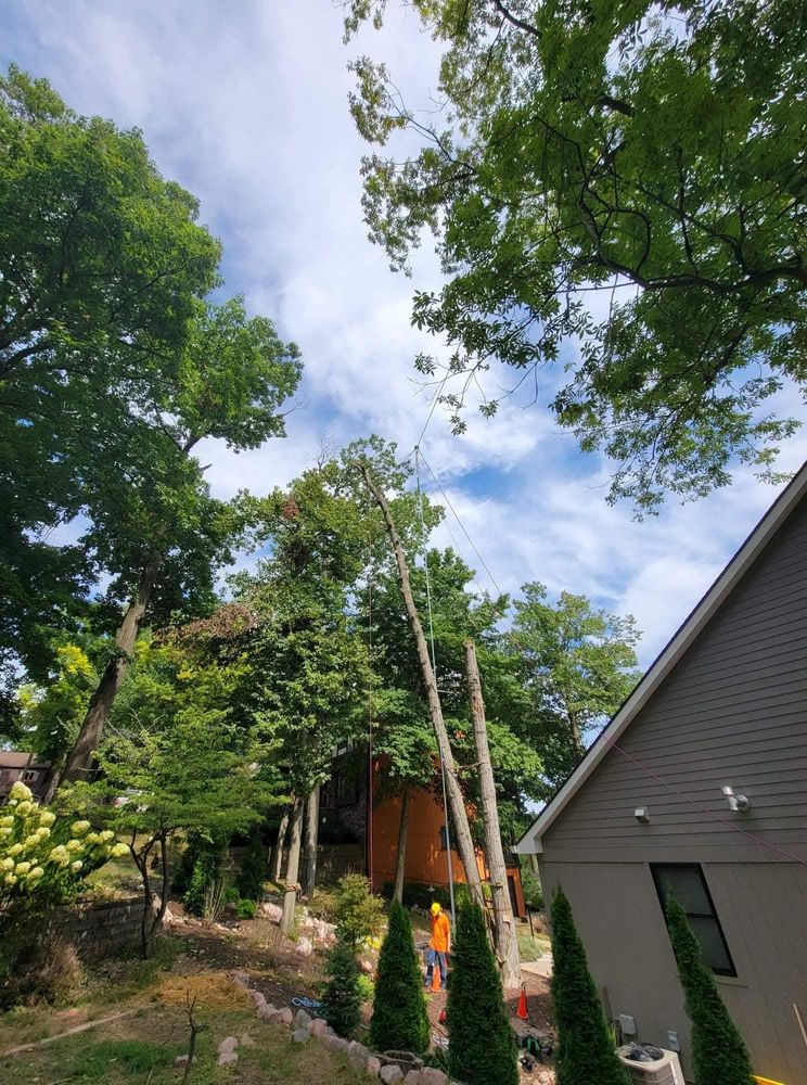 All Photos for Highborn Tree Service in Wheatfield, IN