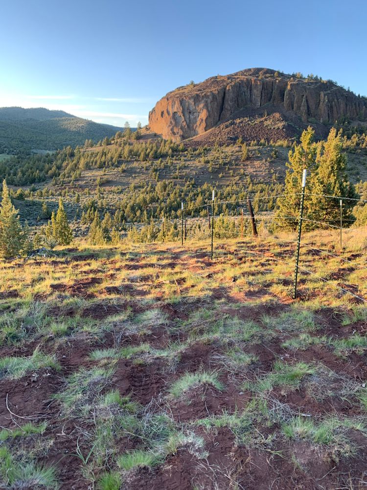 All Photos for All ‘Round Boys in Prineville, OR