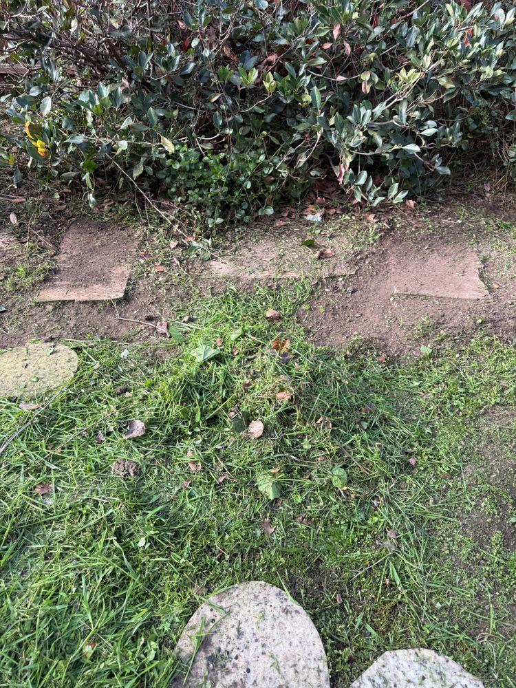 All Photos for CBA Landscaping in Hayward, CA