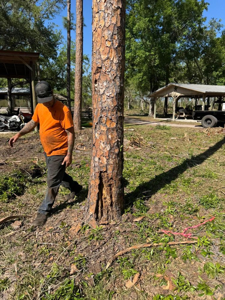 All Photos for Heverly Land Solutions in Winter Haven, FL