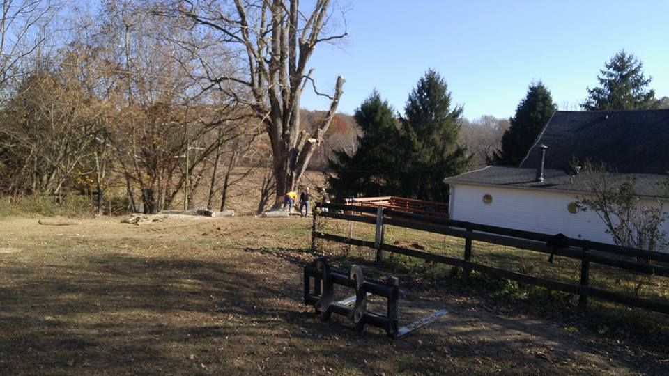 Tree Removal for Lightning Tree Service in Corydon, IN