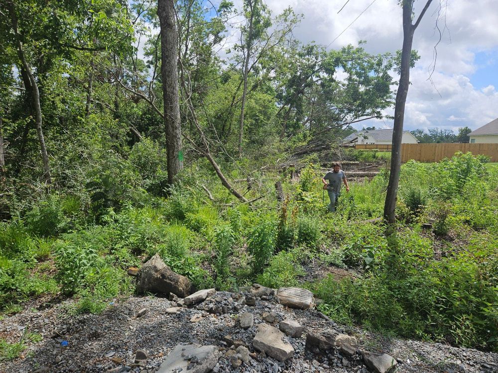 All Photos for Southern Shade Property Service in Ray City, GA