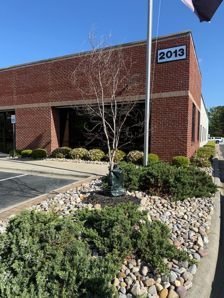 All Photos for Blue Sky Turf in Monroe, NC