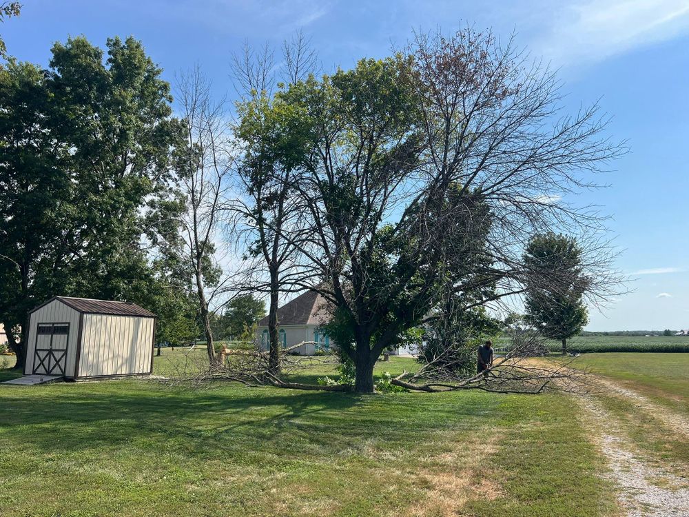 All Photos for Baker Professional Services LLC in Shelbina, MO