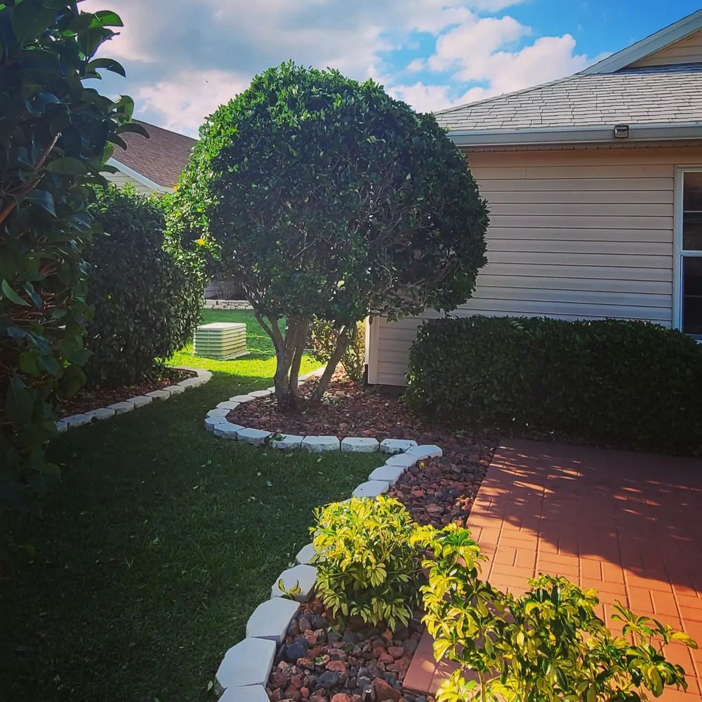 All Photos for TopNotch Landscaping Services  in The Villages, FL