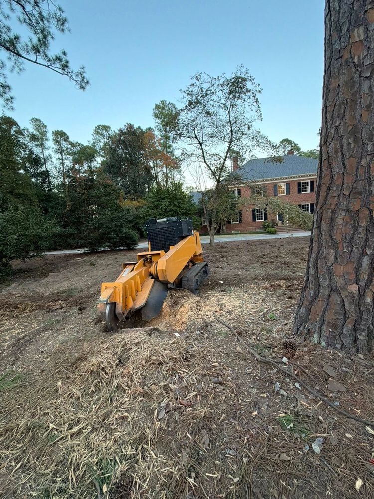 All Photos for Dozier Stump Grinding in Augusta, GA