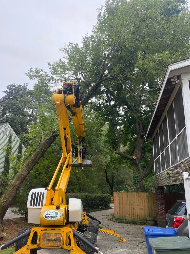 Our Crane Services offer homeowners a safe and efficient way to remove large or hard-to-reach trees, ensuring minimal impact on your property while enhancing safety and convenience during the process. for Donnie's Tree Services in Wilson, NC