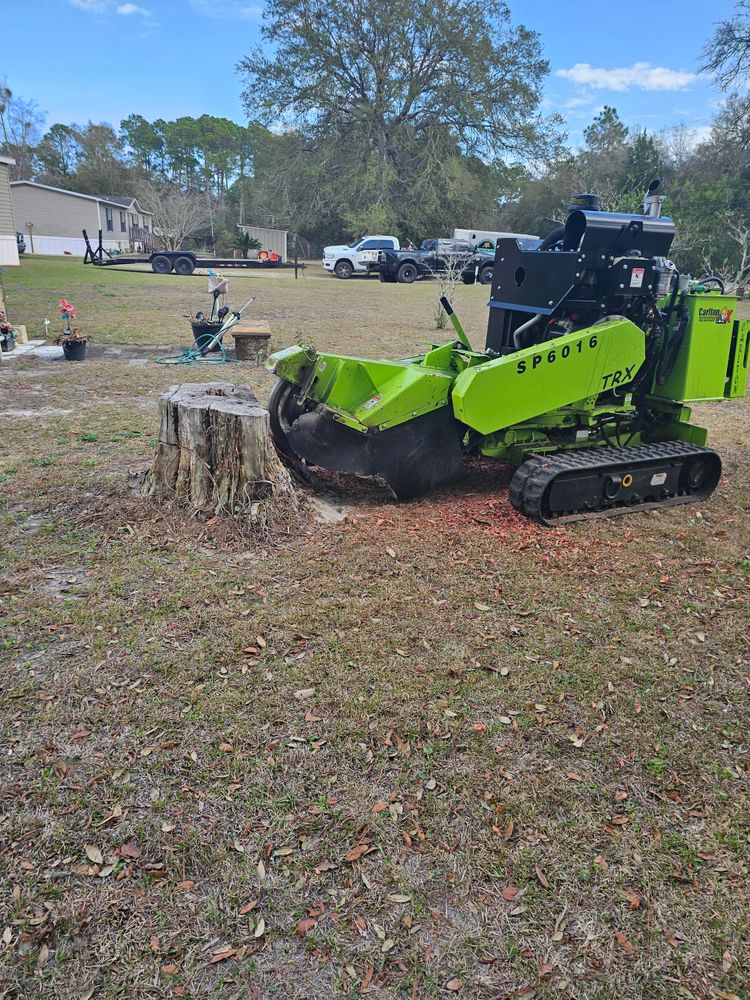 Stump Grinding for Stumps done right LLC in Middleburg, FL