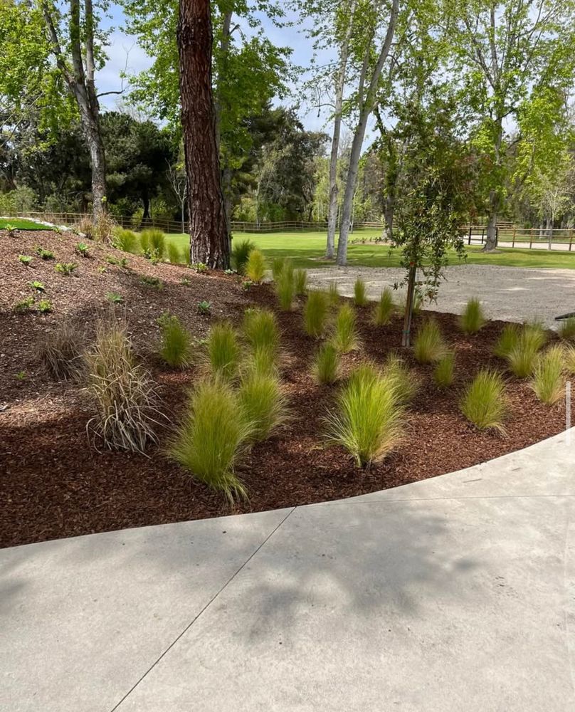 All Photos for Herreras Land Service in San Diego, CA