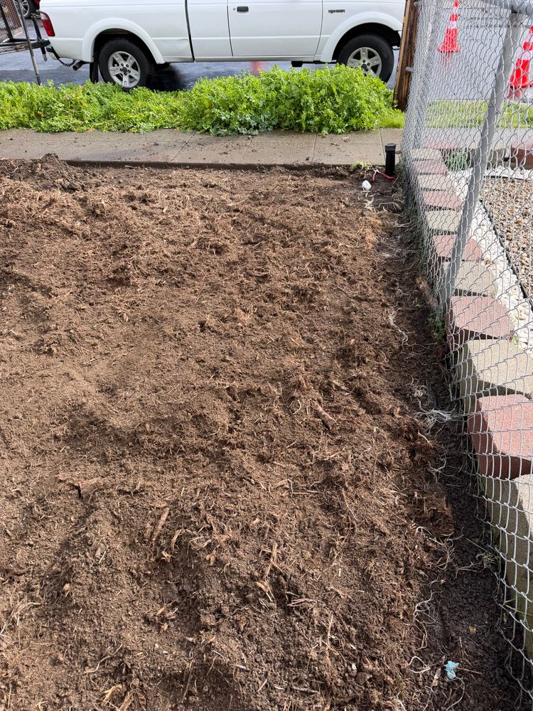 All Photos for CBA Landscaping in Hayward, CA