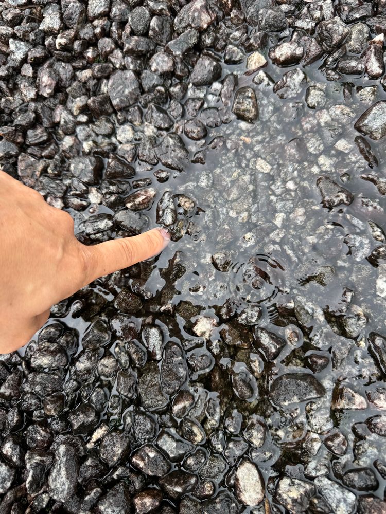 All Photos for Hometown Roofing in Greenwood, SC