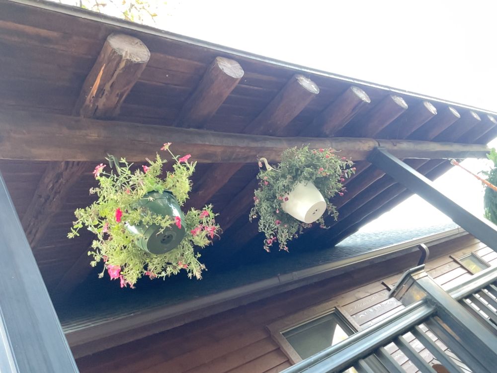 All Photos for Kenneth Fuller in Cleveland, MN