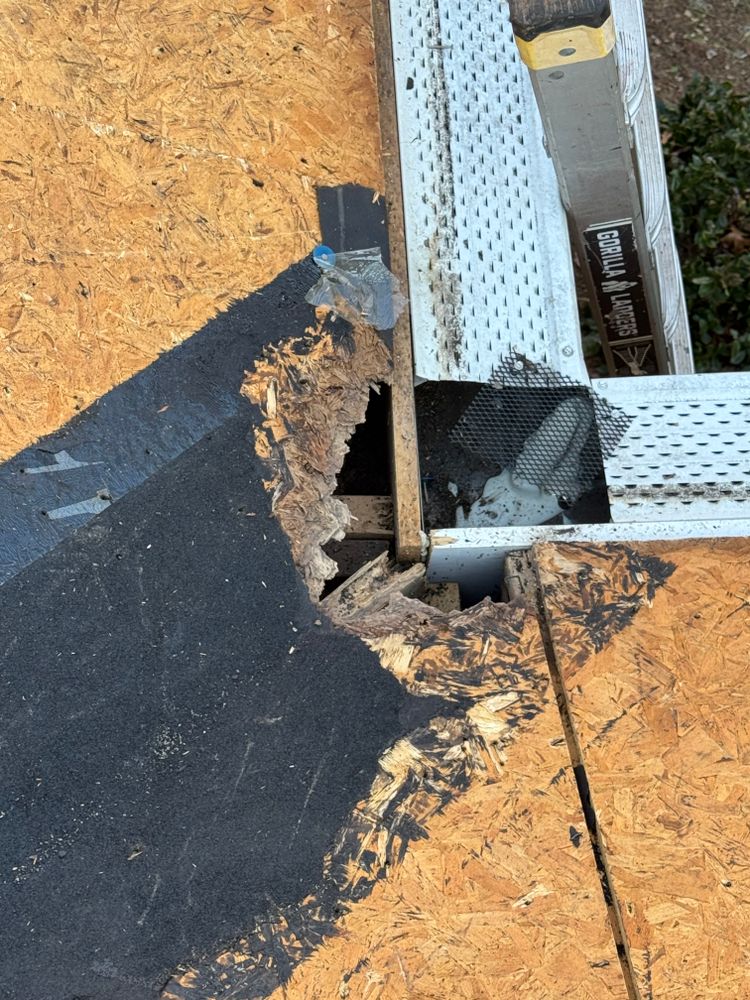 All Photos for FNS Exterior Consulting LLC, Powered By Live OAK in Cumming, GA