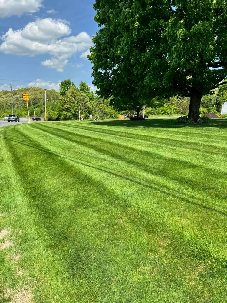 All Photos for Adams Landscaping in Springfield, MA