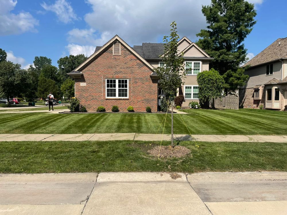 Our professional shrub trimming service enhances curb appeal by expertly shaping and maintaining your shrubs, promoting healthy growth while ensuring a neat, orderly appearance that complements your landscape beautifully. for Mow Pros in Westland, MI