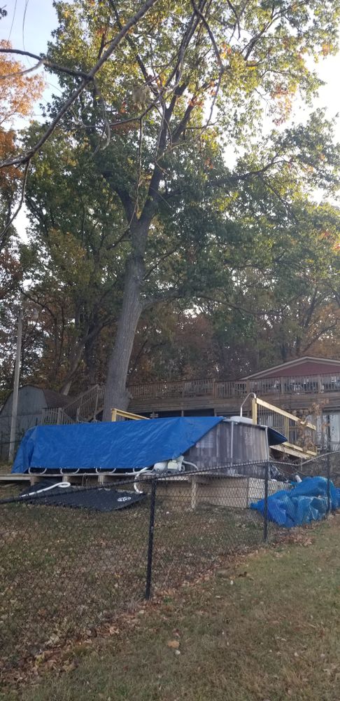 All Photos for Advanced Tree Solutions in Rockville, IN