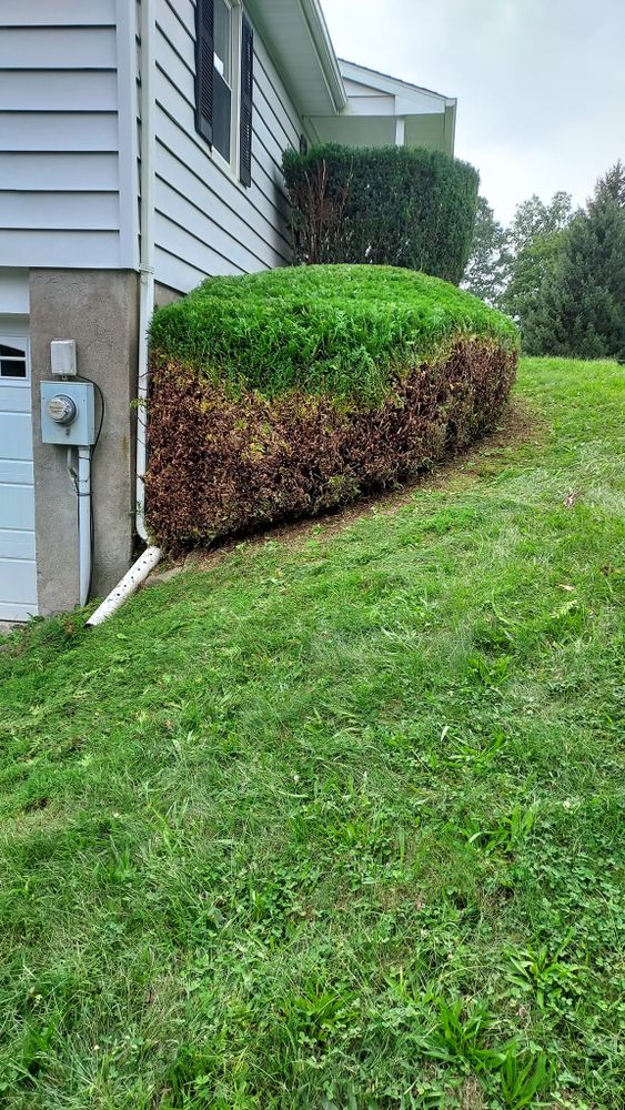 All Photos for Scott's Lawn Care and Landscaping LLC in Modena, NY