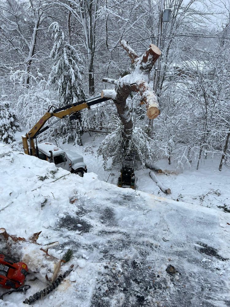 All Photos for The Bucking Arborists in Flint, MI