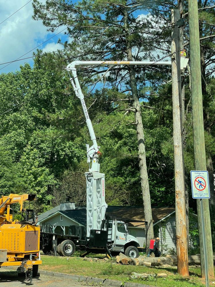 All Photos for M & J Tree Service & Stump Grinding in Auburn, GA