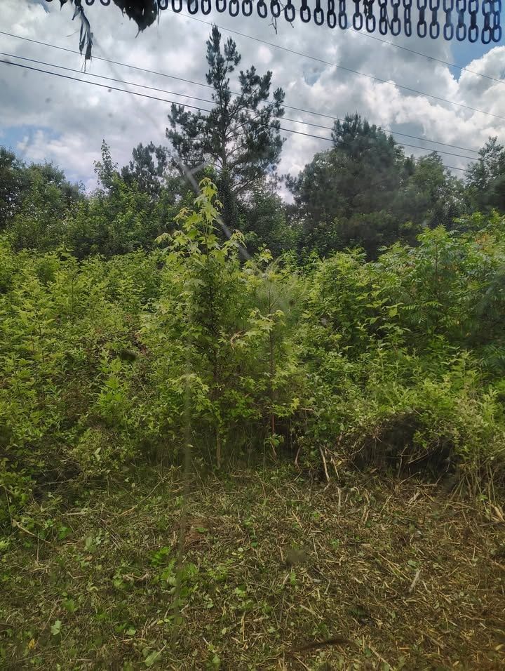 All Photos for 5 Star Land Management in Beech Bluff, TN