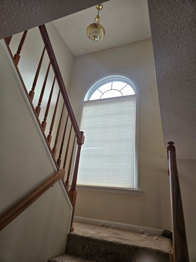 All Photos for Loving 217 Homes in Chatham, IL