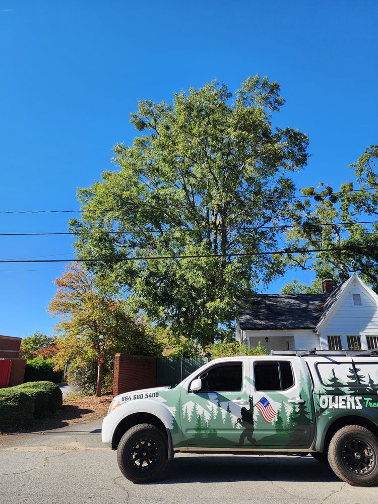 All Photos for Owens Tree Services in Inman, SC