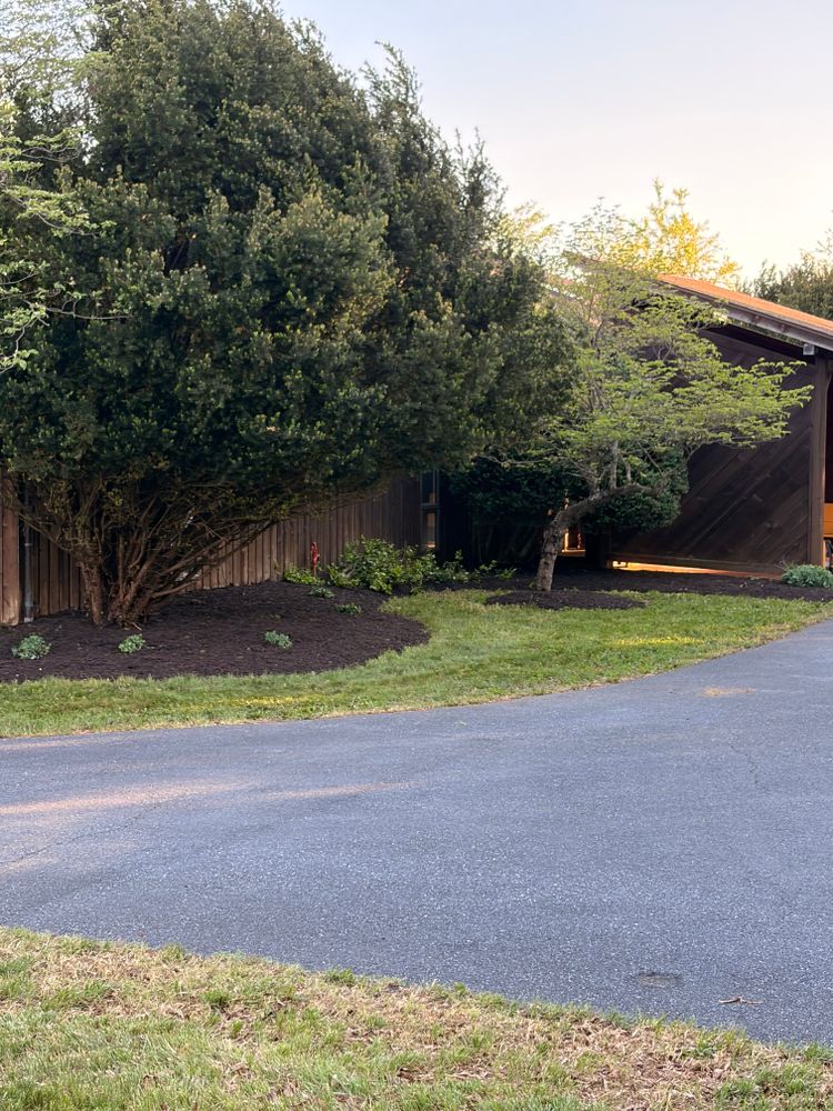 All Photos for Valencia’s Lawncare in Charlottesville, VA