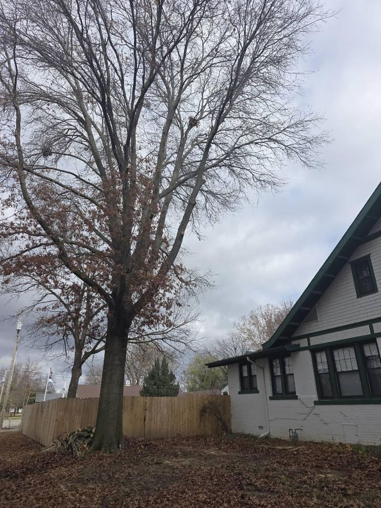 All Photos for Oklahoma Tree Guy in Bartlesville, OK