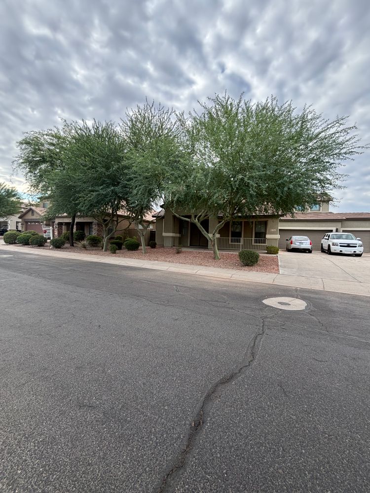 All Photos for Good Hands Landscape in Maricopa, AZ