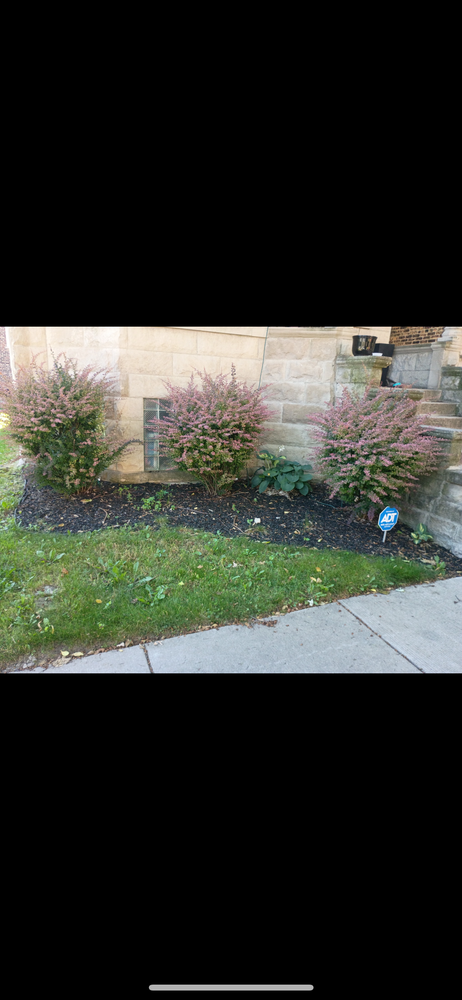 All Photos for Superior Lawn Care & Snow Removal LLC  in Chicago, IL
