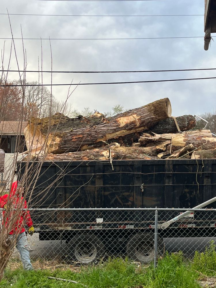 All Photos for J.P Landscaping and excavation in Chattanooga, TN