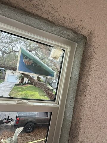 All Photos for Escorpio Painting in Tampa, FL