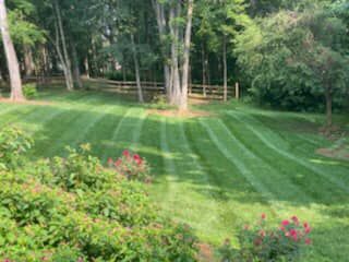 Fall and Spring Clean Up for Battle Lawn Maintenance in Eatonton, GA