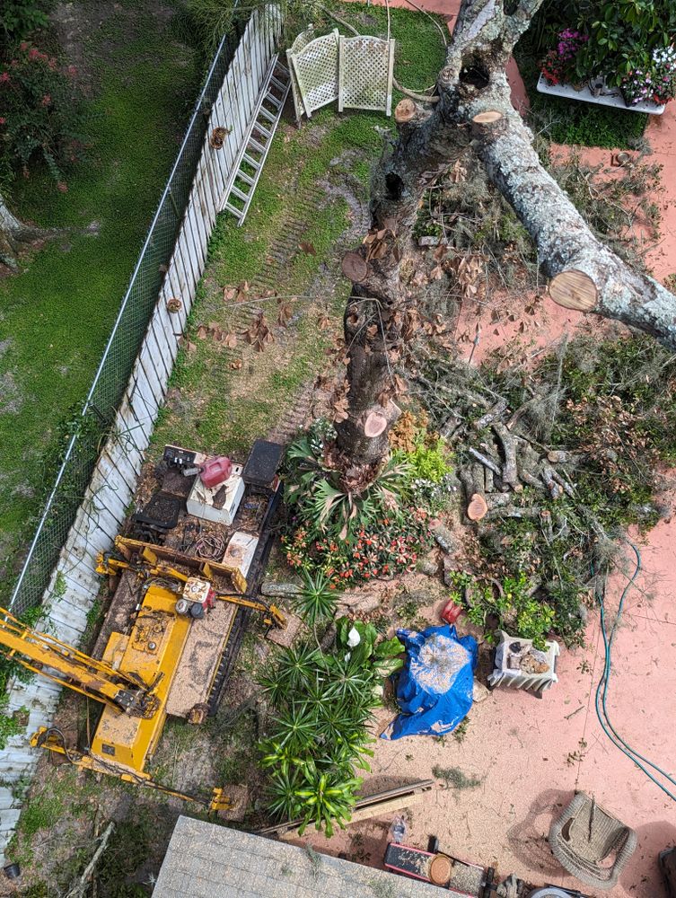 All Photos for Regal Tree Service and Stump Grinding in Wauchula, FL