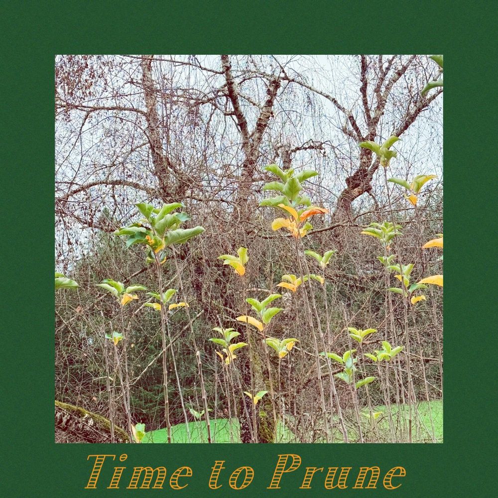 All Photos for Handy Hands Landscape in Corvallis, OR