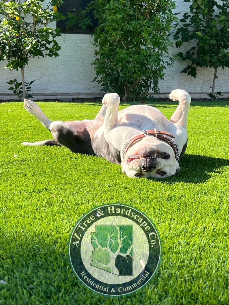 Pet friendly  for AZ Tree & Hardscape Co in Surprise, AZ